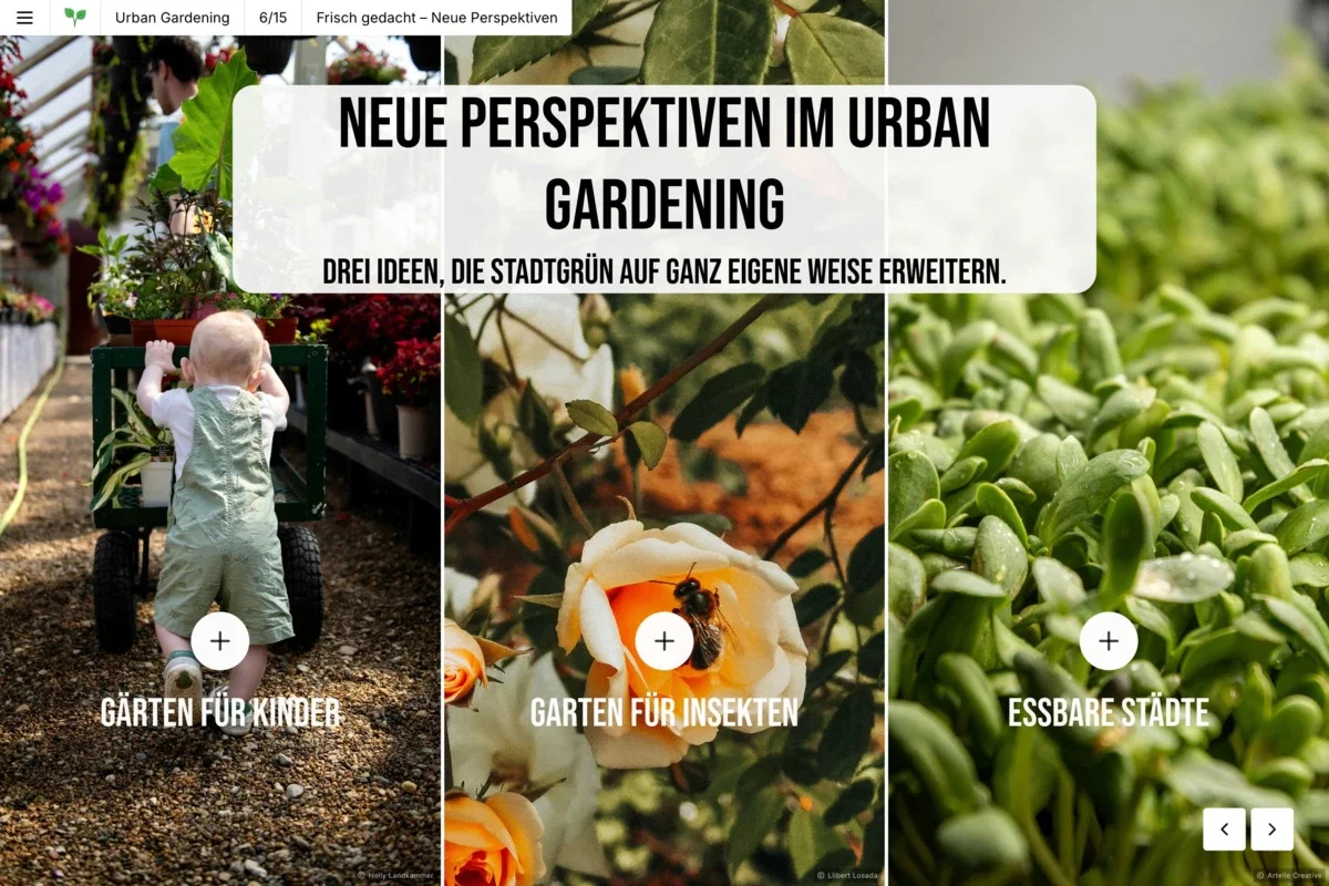 Gartenmagazin Inhalt Gartenmagazin Inhalt