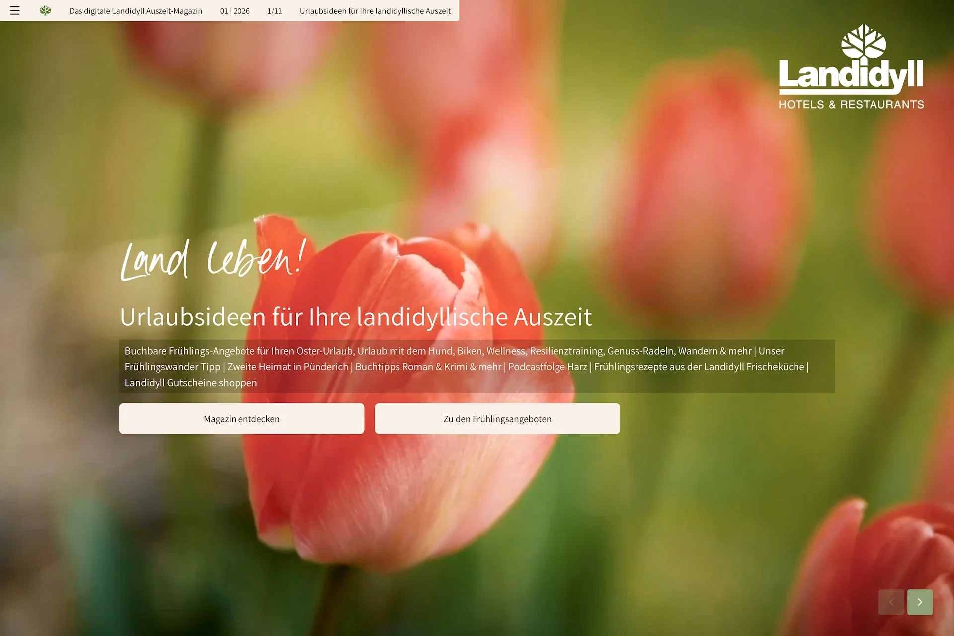 Landidyll - Auszeit-Magazin 