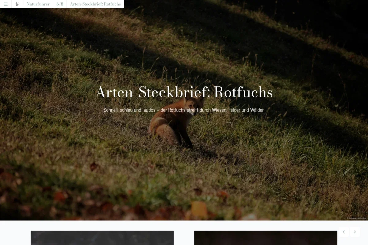 Naturführer Artensteckbrief Naturführer Artensteckbrief