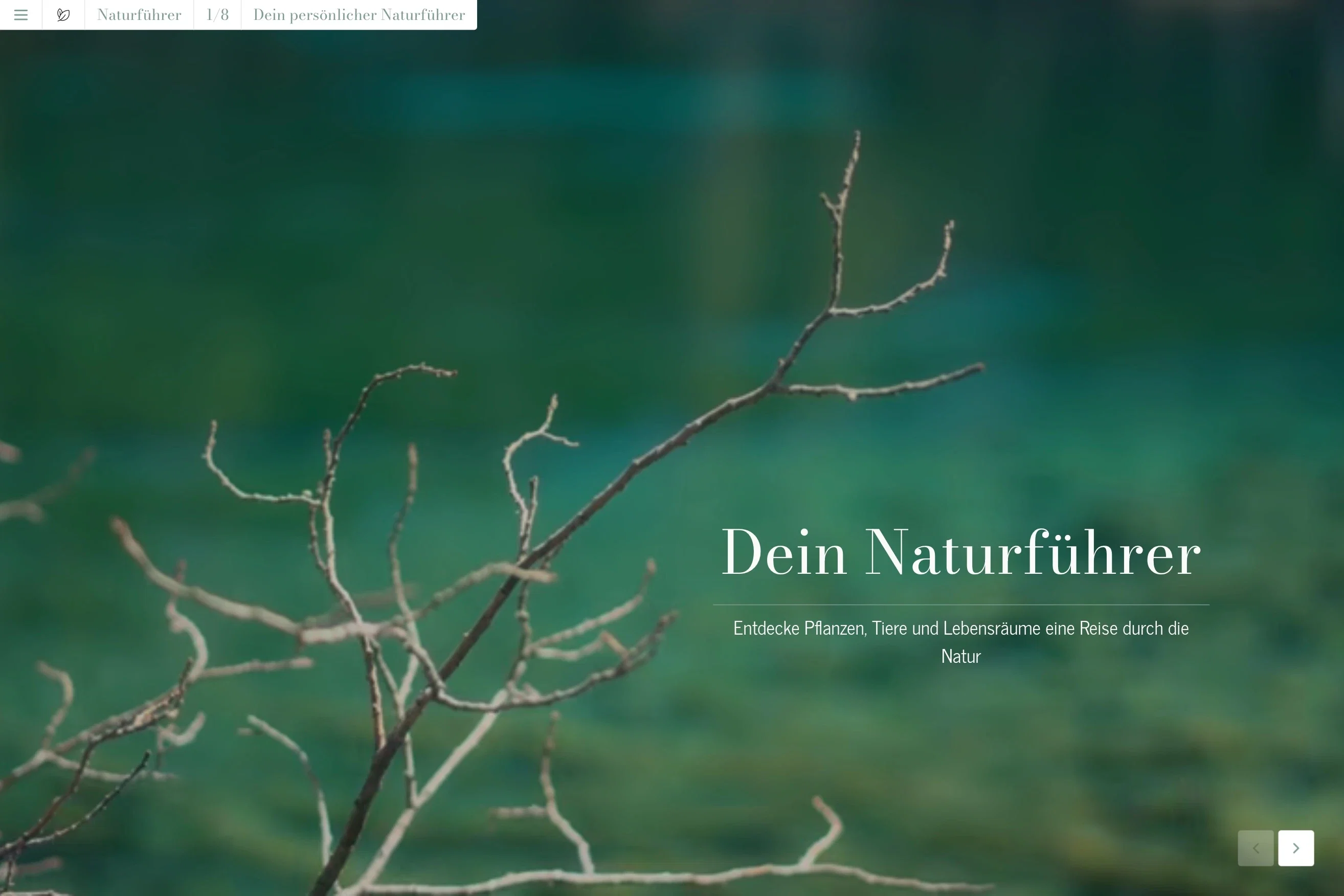 Dein digitaler Naturführer Startseite des Novamag Naturführer Vorlage mit großem Coverbild für Natur-Themen