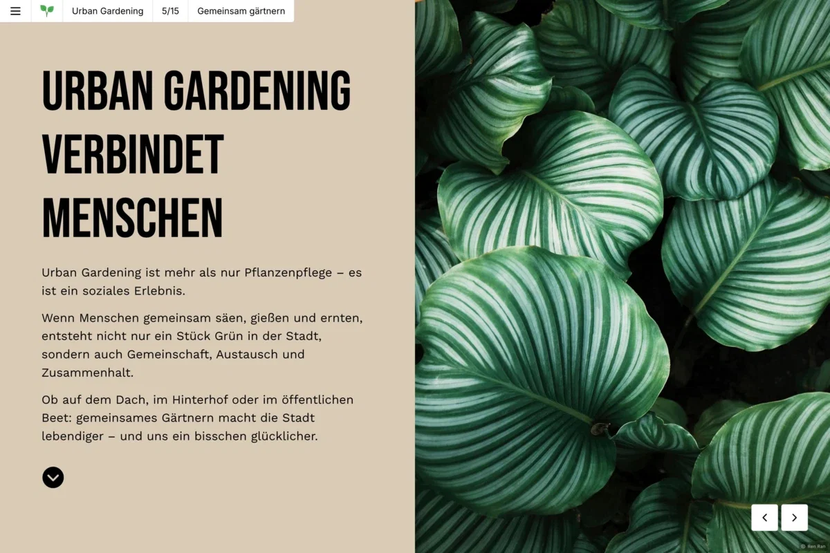 Gartenmagazin Anzeige Gartenmagazin Anzeige