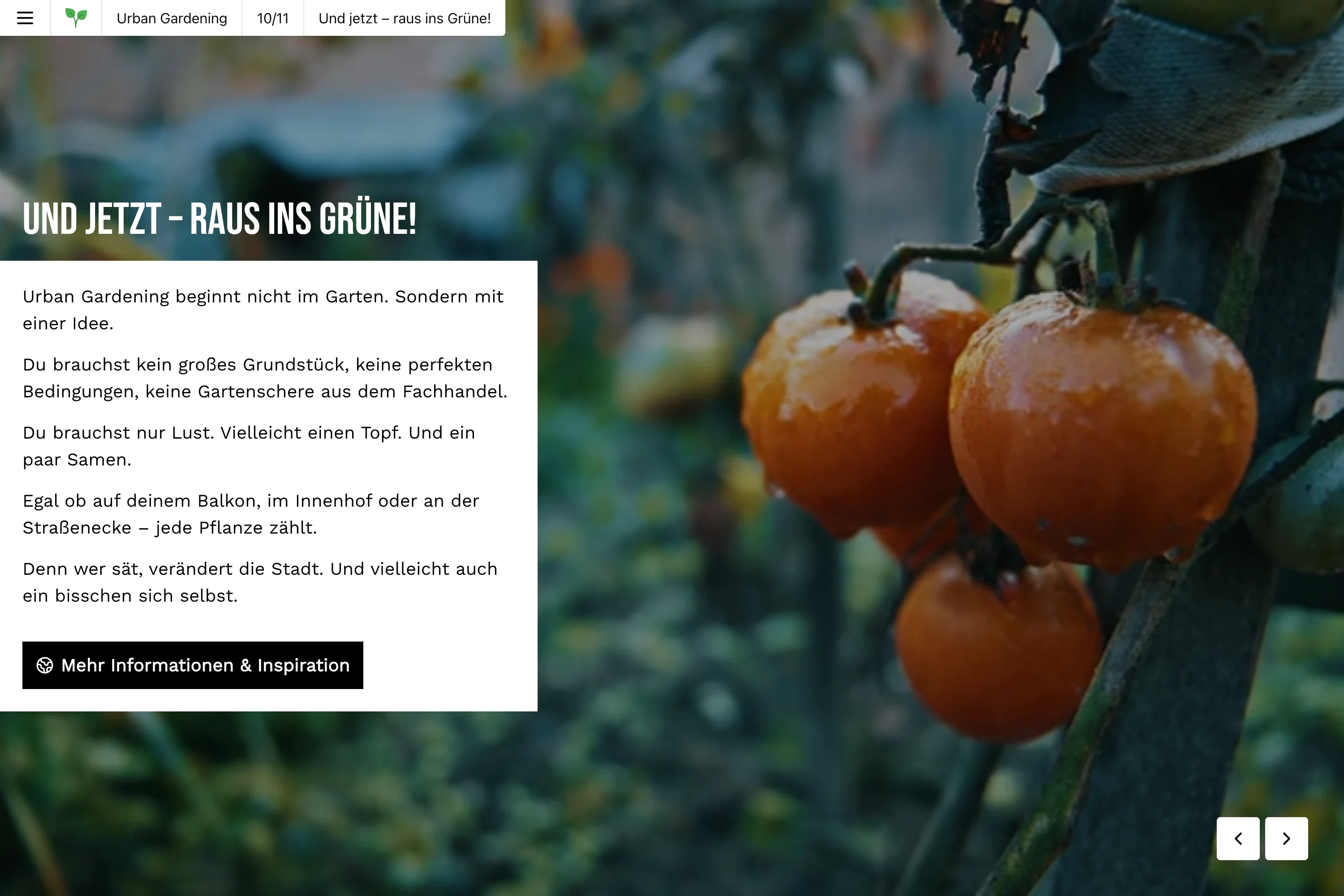 Demo Magazin mit Novamag Demo Magazin mit Novamag